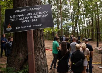 Odkryto masowe groby w lesie białuckim