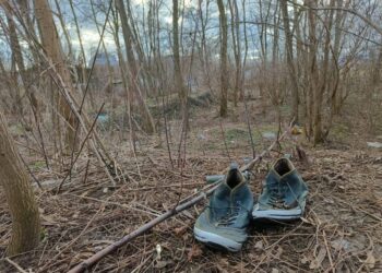 Stowarzyszenie Przyjaciół Reduty Ordona apeluje do prof. Lewickiego o przebudzenie znad biurka…