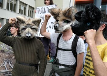 Biznes pod przykrywką zielonych protestów. Dalszy ciąg sporu o Turnicki Park Widmo