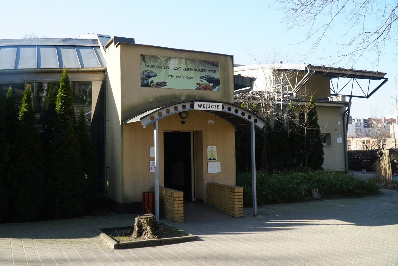 Zmiany w Zoo Poznań. Odbył się wewnętrzny audyt. Ile miasto dokłada do ogrodu zoologicznego?